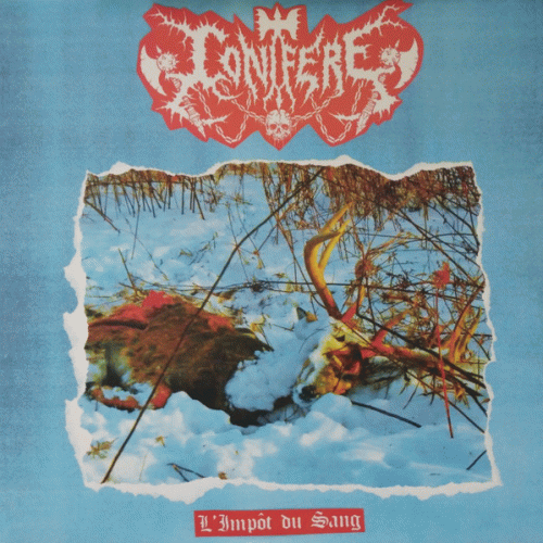 Conifère : L'Impôt du Sang